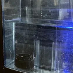 Keurig not pumping water repair step